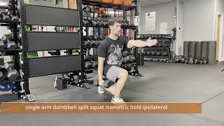 Single-Arm Dumbbell Split Squat Isometric Hold - Ipsilaterally Loaded