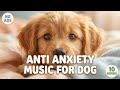 10 Hours Dog Sleep Music 🐶 Calming Music for Dogs with Separation Anxiety