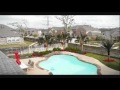 Landscaping With Palm Trees Pictures