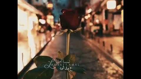 Thumbnail of اغنية ع ورق الورد 🤤❤️|| الفنان عمار الديك |..