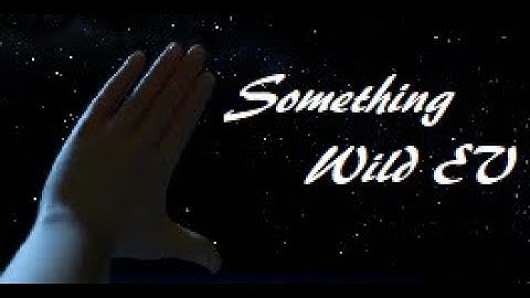 Something Wild Ending Video