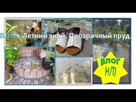 Влог: Летний зной - спасенье в пруду. 3 секрета прозрачности воды.