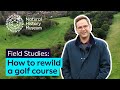 Rewilding Project at Alistree Park
