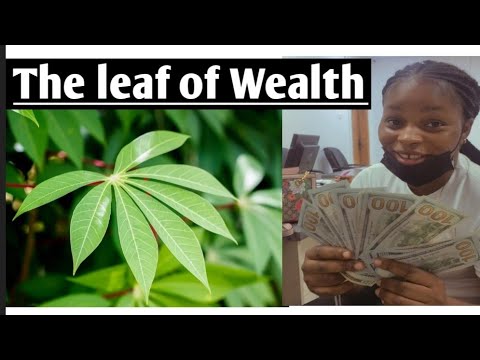 This Leaf can make you Rich and wealthy