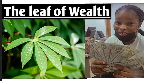 This Leaf can make you Rich and wealthy