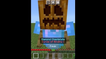 Will CURSE OF BINDING Work On Armor Stand...? #shorts