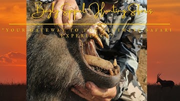 Perfect archery shot on a baboon!