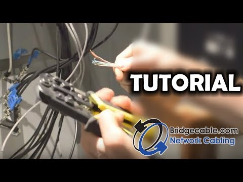 Installing RJ45 Network Cabling Connection or Head to a Cable | BridgeCable.com