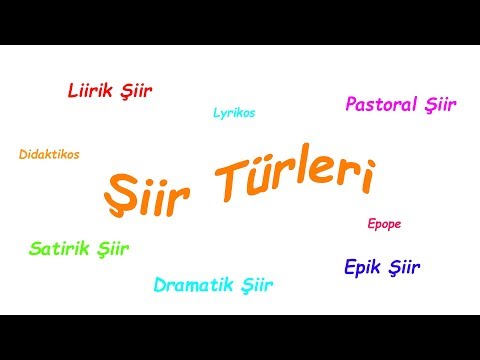 Şiir Türleri (Lirik Şiir, Epik Şiir, Didaktik Şiir, Pastoral Şiir, Satirik Şiir)