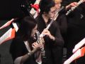 Orchestra di flauti "Joueurs de flute"  ll volo del calabrone