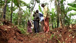 Coffee film UTZ short no subtitles-MPEG-4.mp4