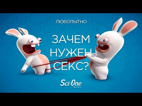 Зачем нужен секс?