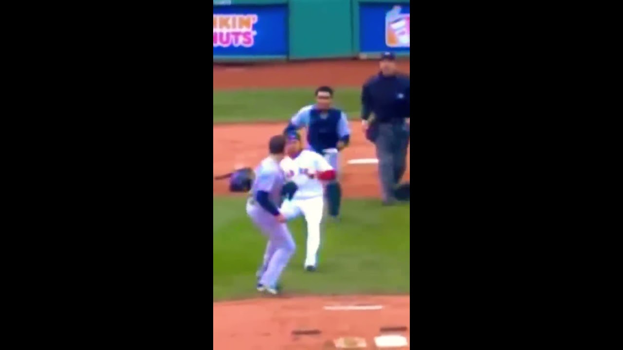 Cold MLB Fight Photo 