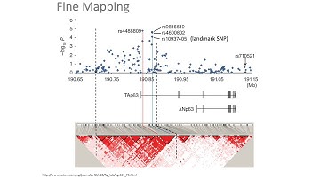 MCB 182 Lecture 12.9 - Fine-mapping causal variants based on GWAS associations