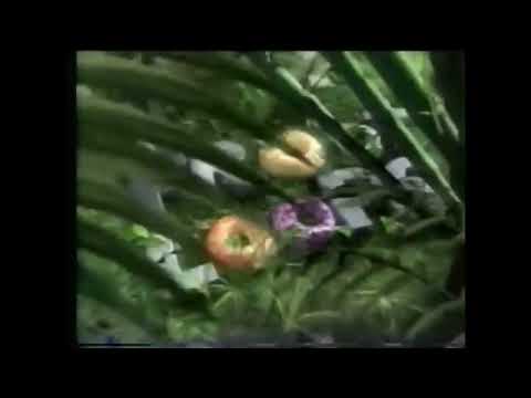 "Sagwa, the Chinese Siamese Cat" closing funding credits: Kellogg's Froot Loops / CPB (2001-2002)