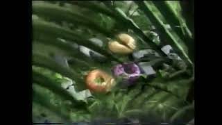 Sagwa, The Chinese Siamese Cat Closing Funding Credits Kelloggs Froot Loops Cpb 2001-2002