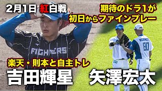 【2/1紅白戦】吉田輝星登板＆矢澤宏太のファインプレー＜2/1ファイターズ春季キャンプ2023＞