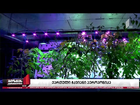 „ჭკვიანი აეროპონიკა“ - ინოვაციური სასათბურე მეურნეობა