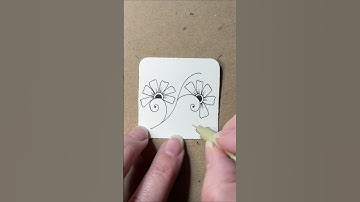 How to draw Zentangle pattern Henna Drum #zentangle #zentangledoodle #hennadrum #doodles #drawing