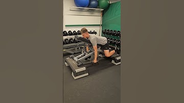 Chest Supported Rows w/ 3sec Eccentric