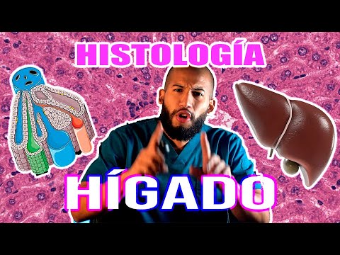 Histología - HÍGADO (Lobulillo Hepático, Sinusoides, Espacio Perisinusoidal y Árbol Biliar)