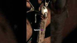 Species 19: Alien Earths Most Realistic Parasite #alienearth #xenomorph