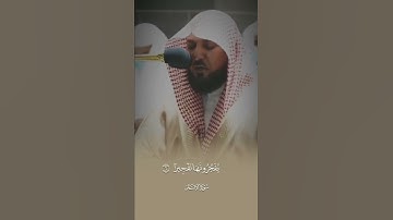 إن الابرار يشربون من كأسٍ كان مزاجها كافوراً  _ ارح سمعك بصوت القارئ الشيخ ماهر حمد المعيقلي 🌿💜