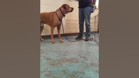 Engage disengage in a training bubble(1)