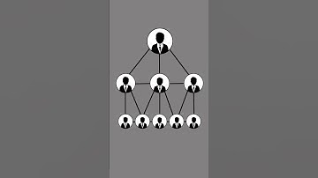 Sam Altman Predicts the Future: One-Person Billion Dollar Company?