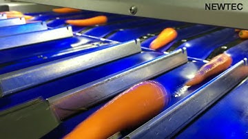 Newtec Optical Sorting Machine, Model, Celox-C-UHD