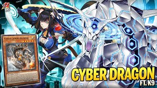 Deck Cyber Dragon K9|MDPRO3| Replays 🎮 + Decklist ✔️