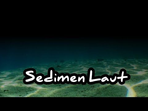 Video: Jenis sedimen apa yang ditemukan di laut dalam?