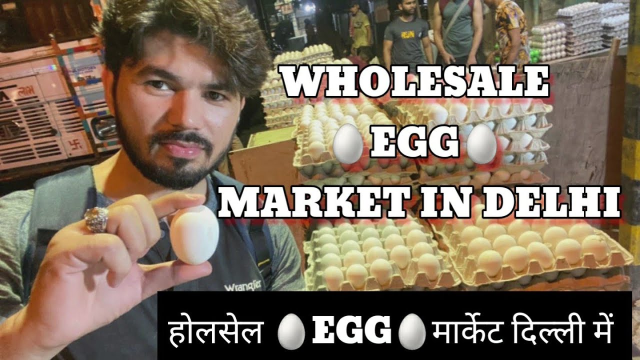 Wholesale Egg Market in Delhi | होलसेल 🥚EGG🥚 मार्केट दिल्ली में | 