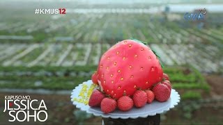 Kapuso Mo, Jessica Soho: Strawberry fields forever