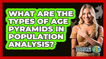 What Are The Types Of Age Pyramids In Population Analysis? - Ecosystem Essentials