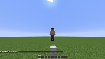 Mojang bug report. sneaking animation don