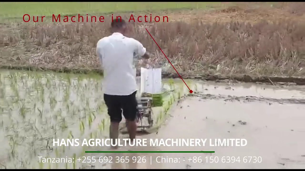Stainless steel, manual Rice Transplanter two row