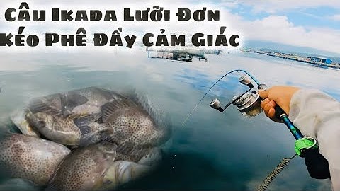 Câu Cần Ikada Bằng Lưỡi Đơn Phê Đầy Cảm Giác - Vịnh Xuân Đài Phú Yên