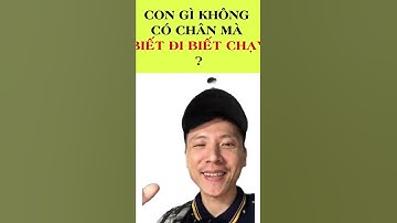 Con gì không có chân mà biết đi, biết chạy? | Câu đố vui #shorts