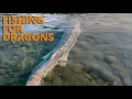 Giant sturgeon fishing for dragons salish sea wild