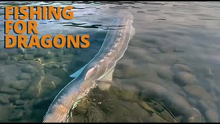 Giant Sturgeon: Fishing for Dragons (Salish Sea Wild)