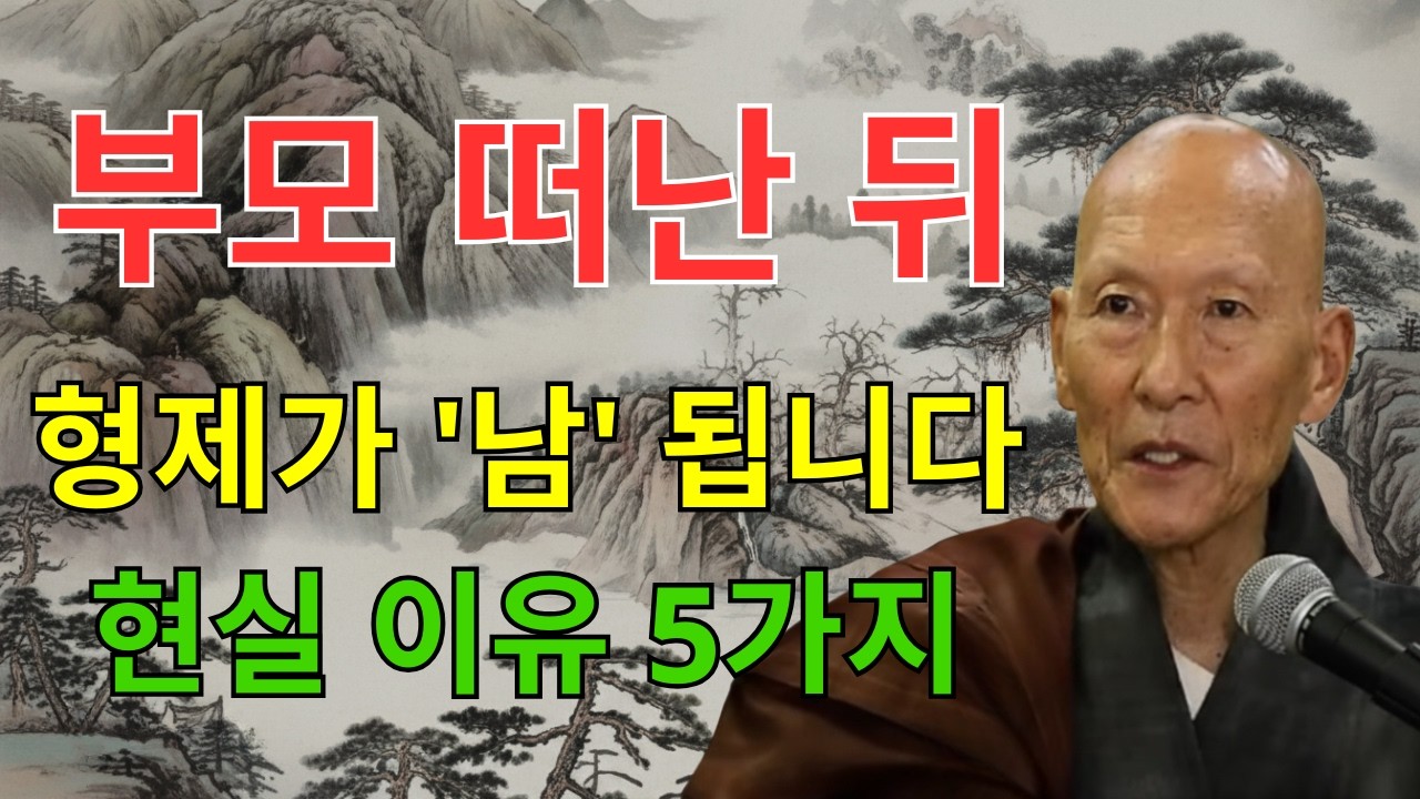 부모가 떠난 뒤 시작됩니다｜형제가 남이 되는 현실적인 이유 5가지