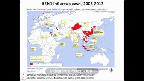 Multi-scale Dynamics: Molecules to Cells