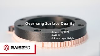 Raise3D E2CF Print Result - Overhang Surface Quality