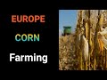 Corn farming in croatia | Farm work in Croatia | Croatia in tamil | Farm jobs in Croatia in tamil |