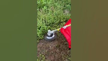 The 365Famtools Steel Wire Brush Trimmer Head for Gas Powered Trimmers