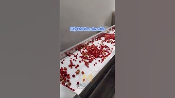 MÁY RỬA SỤC KHÍ OZONE