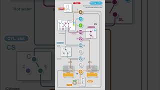 #shorts S plan heating.  Wiring diagrams and operation.