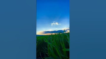 مين يعرف اسم القارئ اكتب_شي_توجر_عليه #قران_كريم #سبحان_الله_وبحمده_سبحان_الله_العظيم #قرآن #قرآن