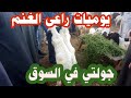 يوميات راعي الغنم أسعار الاغنام اليوم 